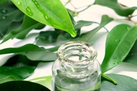 Eczéma et huile essentielle de tea tree