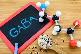 Le GABA et ses bienfaits