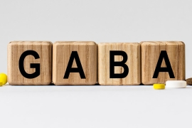 Le GABA et sa définition