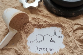 L-tyrosine : les effets au bout de combien de temps