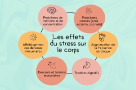 Quels sont les effets du stress sur le corps ?