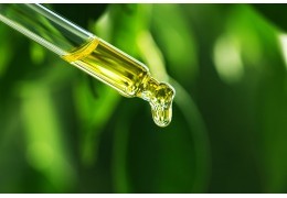 L'huile essentielle de livèche et ses différentes utilisations