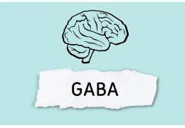 Quels sont les symptômes du manque de GABA ? 