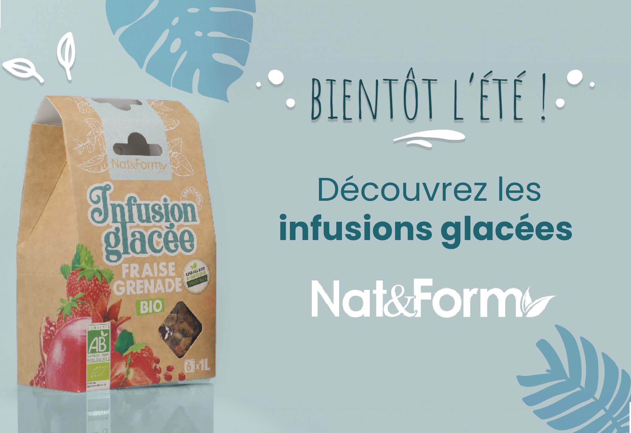 infusions glacées Nat&Form